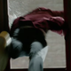 Illustration for article titled All the New Craziness We Spotted in iDoctor Who/is Latest Trailer